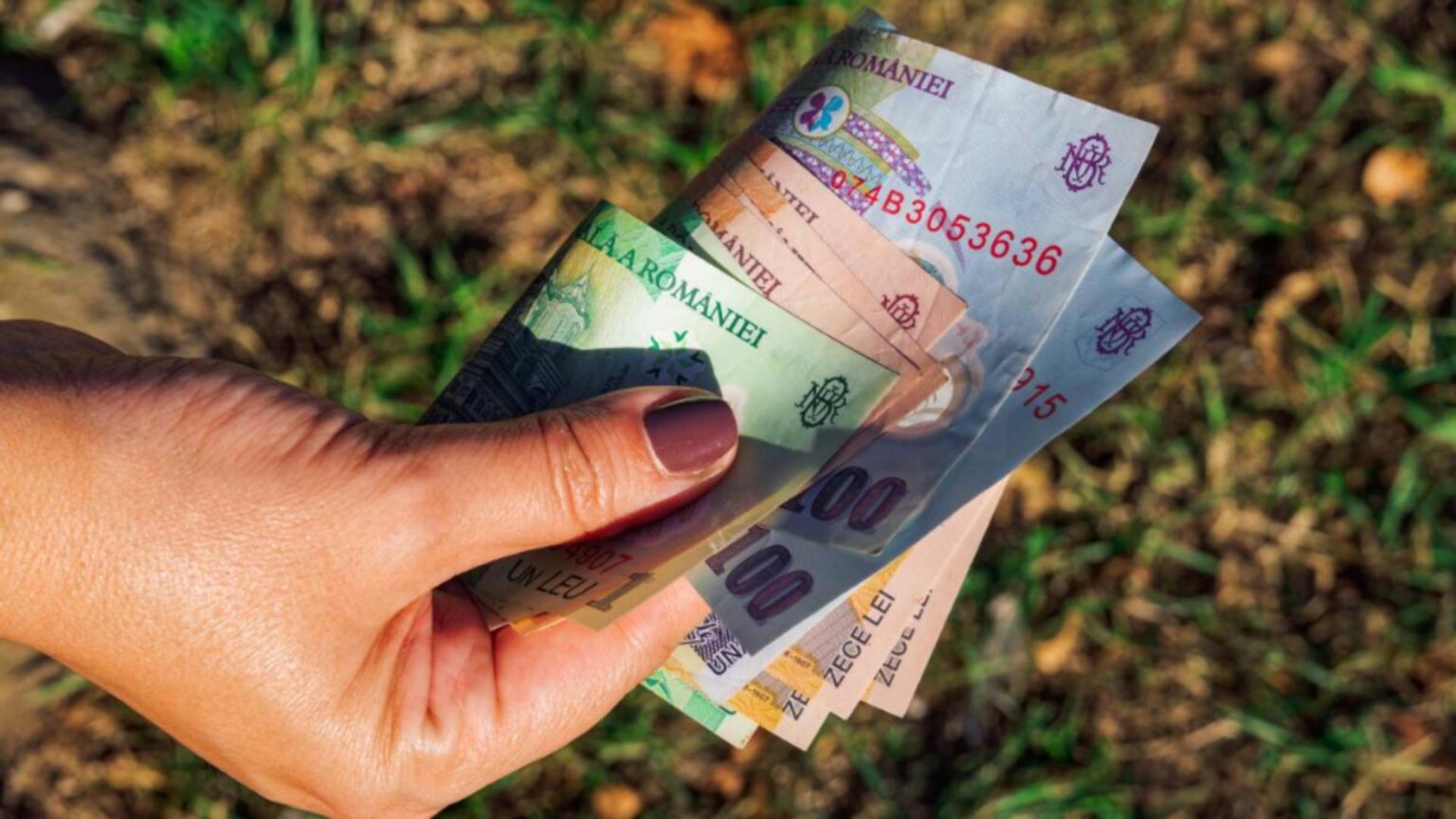 patronatele cer guvernului inghetarea salariului minim la 4 050 lei care este justificarea lor si scenariul sumbru prezentat 6939cff59c6ee