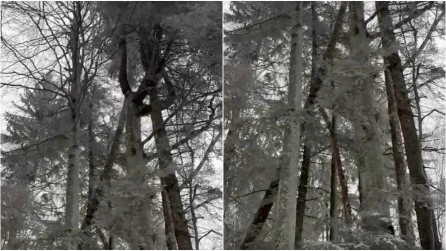 pericol urias pe traseele montane avertisemntul salvamontistilor pentru turisti video 69526022ea675