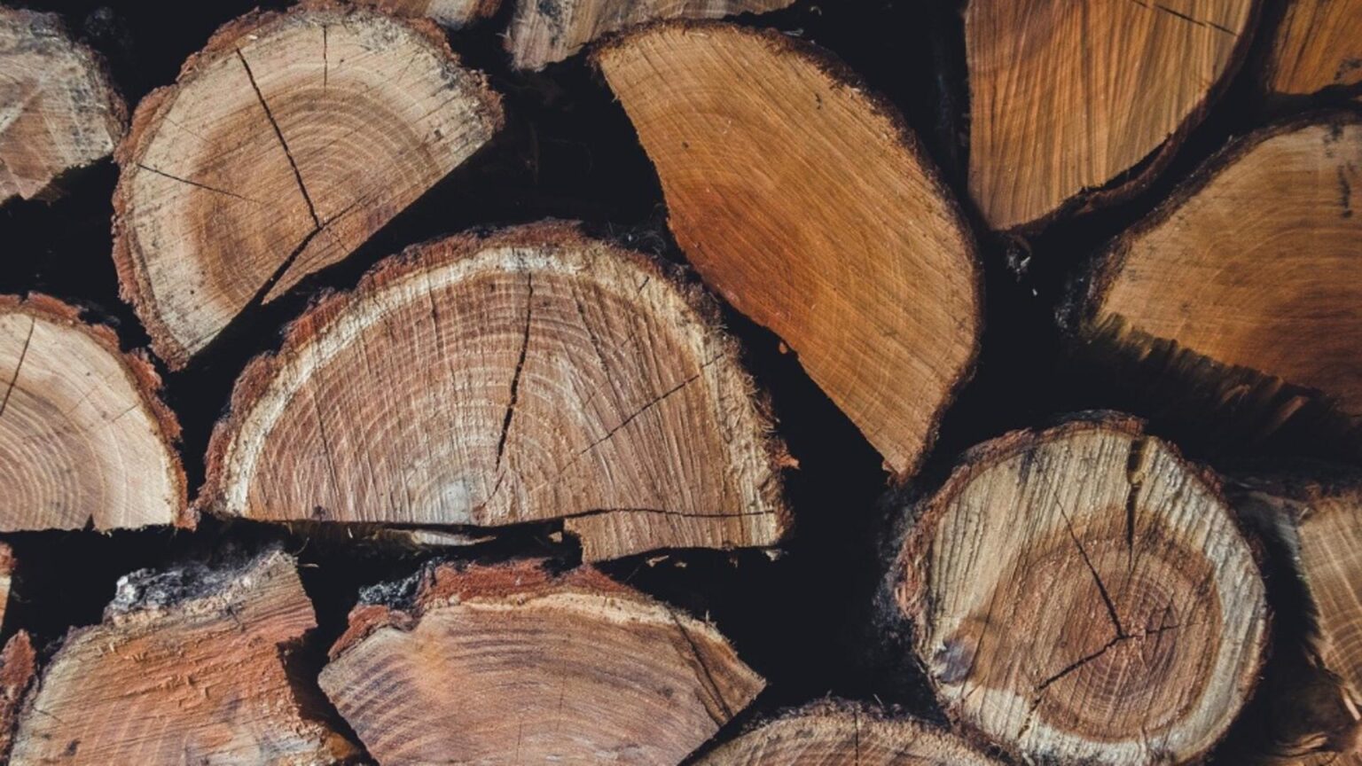 pretul lemnelor de foc in 2025 cu cat vinde romsilva metrul cub si unde sunt cele mai mici preturi 6946d53fcaa56