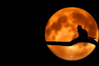 ritualuri la luna plina din data de 4 decembrie te ajuta la indeplinirea dorintelor 693152244e4f8