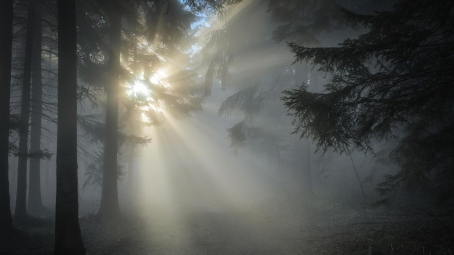 vreme de toamna de craciun cand vin primele ninsori anm a facut anuntul 693bb9e4a8bb0