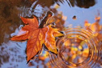 vremea 6 decembrie temperaturi scazute in toata tara de sfantul nicolae ploi in sud si est vant puternic in dobrogea si muntenia 6933d0d478a48