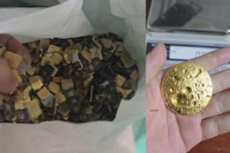 a extras aproape 200 de grame de aur din deseuri electronice cum functioneaza alchimia sim urilor video 69791ee8e3016