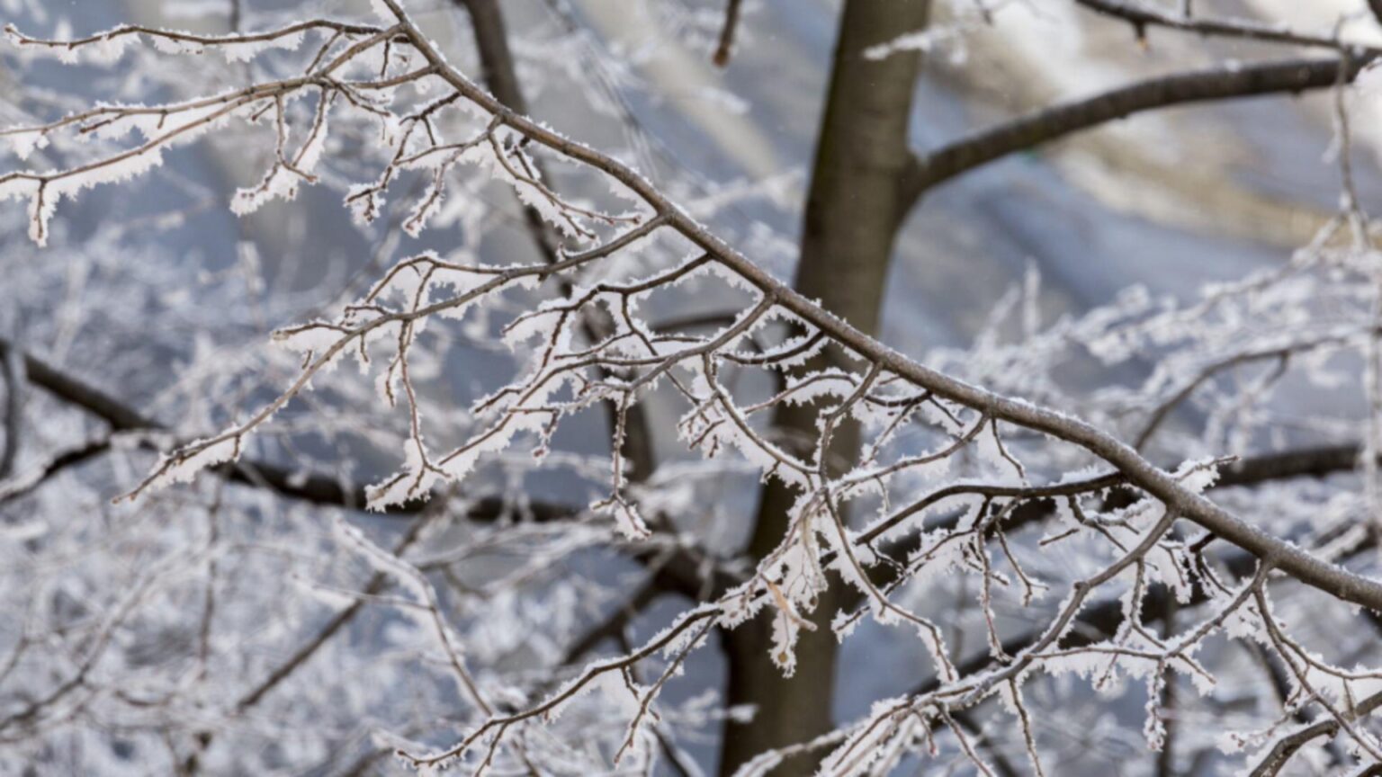 alerta de calatorie de la mae o tara aflata in apropierea romaniei se confrunta cu cod portocaliu de ploi torentiale si ninsori abundente 695bc37c7b8d6