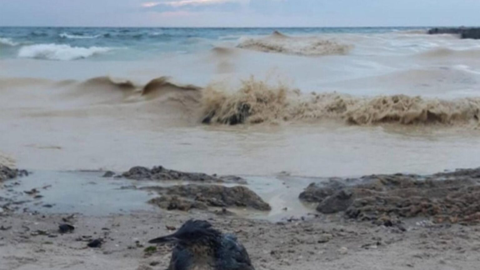 alerta la marea neagra o drona a fost semnalata in apropiere de portul midia 69774a5365048