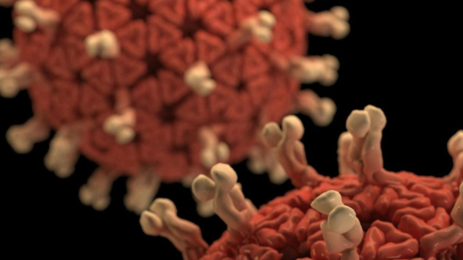 alerta sanitara intr o tara din europa autoritatile se pregatesc pentru cel mai greu sezon de gripa din istorie 695f6d83a6a83