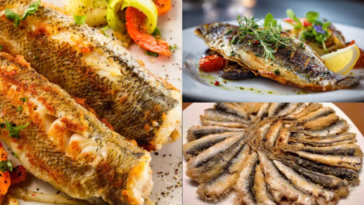 care este cel mai bun peste pentru creier nutritionistii recomanda consumul lui de doua ori pe saptamana 697b16e833a25