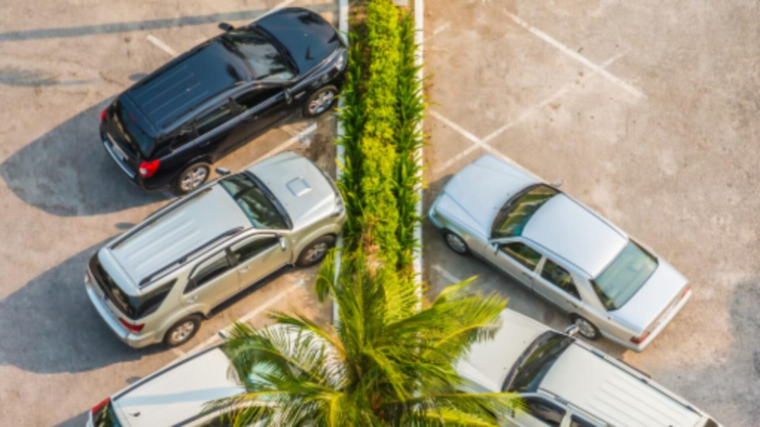 cum a ajuns sa datoreze o avere statului pentru o parcare neregulamentara chiar pe proprietatea sa 695c06c070907