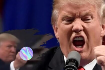 donald trump i a aratat degetul mijlociu unui barbat care l a numit protector al pedofililor video 6967610d25549