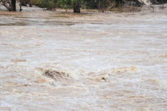 doua persoane au cazut in raul olt una dintre ele a fost salvata in timp ce a doua este cautata in continuare de mai multe echipaje de salvare 695773c08f932