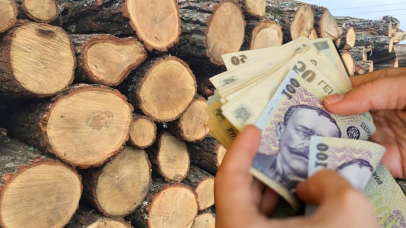 iarna saraciei la sat batranii stau in frig pentru ca lemnele sunt mult prea scumpe video 696b948daa25e