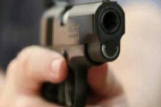 incident in timpul perchezitiilor la medicul cristian andrei politistii au folosit arme cu bile de cauciuc impotriva unor caini agresivi 6979d93f7ead5