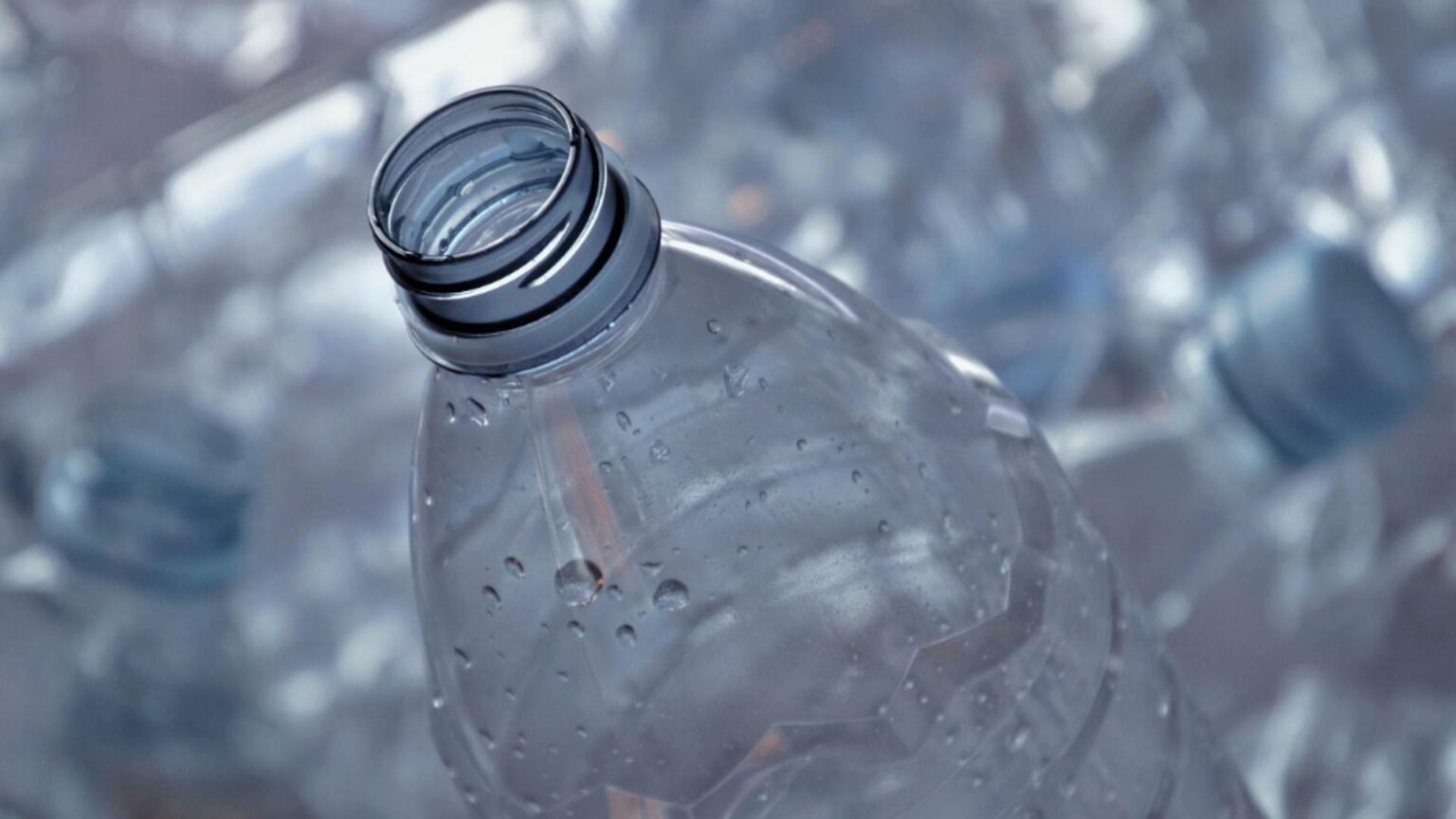 incident neobisnuit la bistrita cinci copii s au pus pe furat bonuri de reciclare 6973c05c6027a