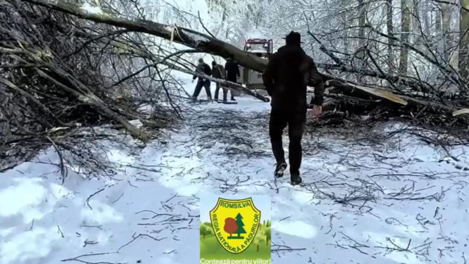 interventie in conditii extreme in caras severin drumuri blocate de copaci si zapada video 6964d46ba2abb