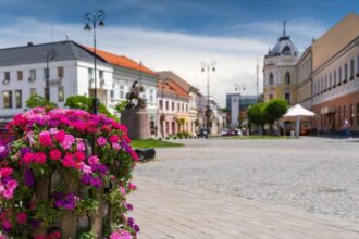 judetul unde taxele si impozitele locale nu au crescut acestea sunt pastrate la valoarea minima permisa de lege 695e69037ea74