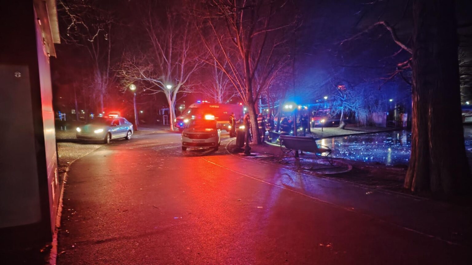 mobilizare de forte in parcul ior din capitala este cautata o femeie despre care martorii spun ca ar fi cazut in lacul inghetat 6956c8b05d83d