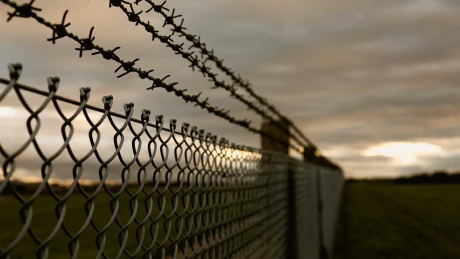 mobilizare de urgenta in timis un pacient detinut a fugit din spitalul de psihiatrie si furat o masina 695d80fb68782