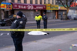 o fosta vedeta a murit dupa ce a fost lovita de doua autoturisme tanara avea doar 33 de ani 696e5792f2000