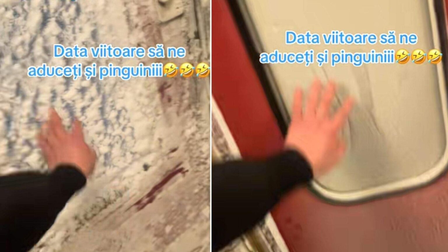 scene incredibile intr un tren din romania zapada a ajuns in vagoane iar oamenii se plang ca ingheata in transportul in comun 696125d8ed2ba