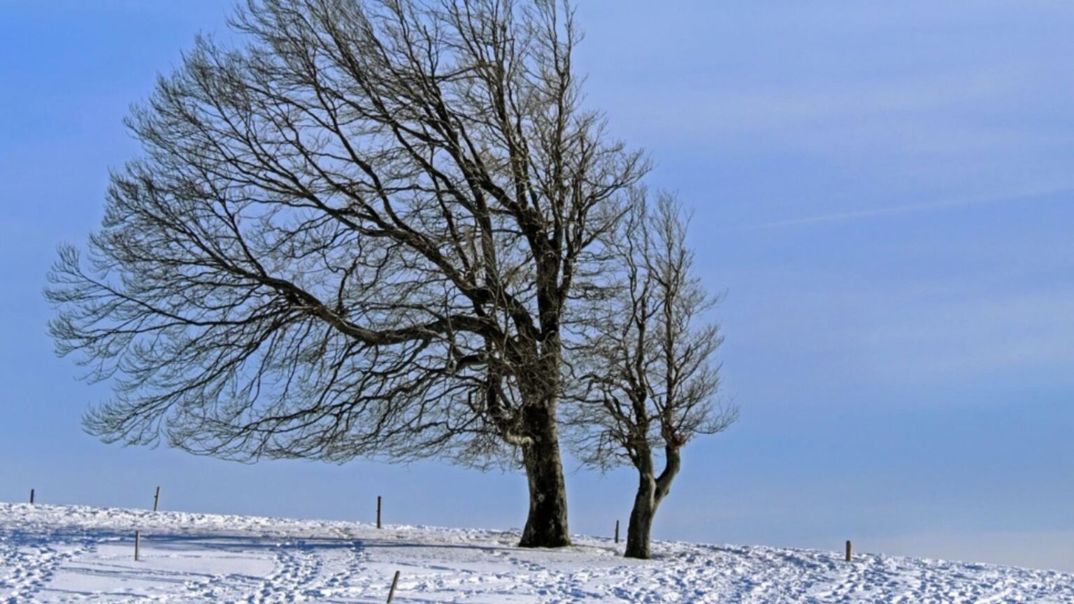 schimbare brusca a vremii ninsori semnificative si vant puternic pana sambata noua prognoza anm 6956538b9ca56
