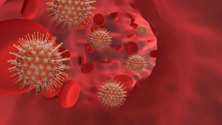 virusul nipah reaprinde alerta sanitara in asia india confirma noi cazuri iar mai multe state introduc controale in aeroporturi 697bd8c25ab82