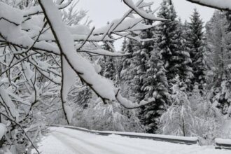 vreme extrema in tara in continuare ninge abundent in mai multe zone ce ne asteapta in orele urmatoare potrivit anm 6958d6e8a1132