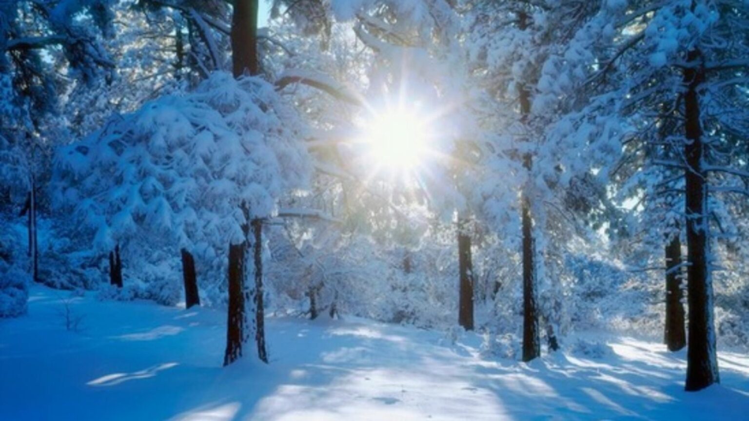 vremea in februarie temperaturi usor peste normal si precipitatii extinse cand vine primavara 697c5017676aa