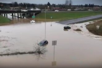 apele se dezlantuie risc de inundatii pe raurile din sase judete anunta inhga 698486168b330