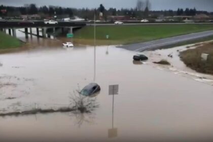 apele se dezlantuie risc de inundatii pe raurile din sase judete anunta inhga 698486168b330