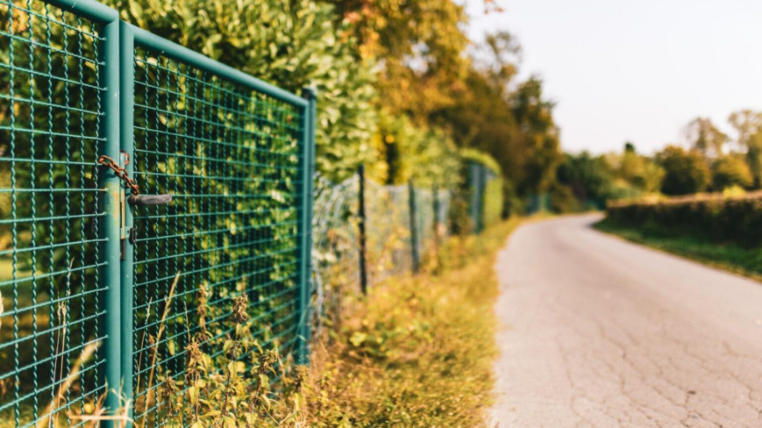 ce risca proprietarii care incalca linia de hotar de la amenzi usturatoare pana la raspundere penala 697e7596f058d