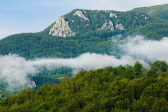 video zacaminte de minerale rare descoperite in apuseni o companie canadiana a gasit uraniu cobalt si nichel 69837bff142a2